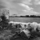 ALFRED KO
Delta
Photograph on Archival Fine Art Paper
77.5 x 111.5 cm | 2008