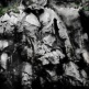 ALFRED KO
Stones from Other Hills
Photograph on Archival Fine Art Paper
91.5 x 71 cm | 2012