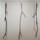 ANUSAPATI
Articulation
Munggur (Raintree) Branches, Brass
dimension variable, highest piece approx. 240 cm
2012