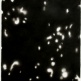 ANUSAPATI
Dream #02
Charcoal on Paper
240 x 95 cm | 2013