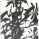ANUSAPATI
Shadow #02
Charcoal on Paper
72 x 54 cm | 2012