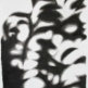 Inhale - a group exhibition | 8 Dec 2018 - 31 Jan 2019