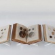 ANUSAPATI
Specimen #02
Old Books, Seeds | dimension variable | 2012