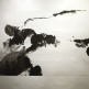 Sun Guangyi 孫廣義 - Beyond Heavens - a solo exhibition | 15 Jan - 28 Jan 2016