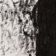 FUNG MING CHIP
		Post Marijuana, Shadow Script/Sand Script
		Chinese Ink on Paper | 70 x 68.5 cm | 2000