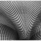 Daido MORIYAMA in JAPANESE PHOTOGRAPHERS Born in 1920s-1940s - a group exhibition | 24 Nov - 31 Dec 2016
