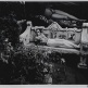 Eikoh HOSOE in JAPANESE PHOTOGRAPHERS Born in 1920s-1940s - a group exhibition at Sin Sin Fine Art