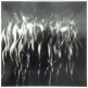 Takashi KIJIMA in JAPANESE PHOTOGRAPHERS Born in 1920s-1940s - a group exhibition at Sin Sin Fine Art