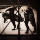 Openings of JAPANESE PHOTOGRAPHERS Born in 1920s-1940s - a group exhibition | 24 Nov - 31 Dec 2016