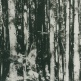 TAKA in Kiwami 極 - a group exhibition | 22 Jan - 19 Feb 2015