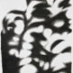 ANUSAPATI
Shadow #6
Charcoal on Paper
72 x 54 cm | 2012
in Revisit p.2 | 21 July - 9 Aug 2014 | a group exhibition