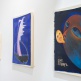 SURVIVORS - a group exhibition | 15 Oct - 21 Nov 2015