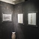 SURVIVORS - a group exhibition | 15 Oct - 21 Nov 2015