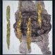 Wensen Qi / Vincent Cazeneuve
Untitled 24
Chinese Colours, Chalk, Graphite Pencil on Shuxuan Paper
69 x 64 cm | 2012